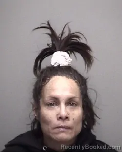 Mugshot of VIRGINIA GRACE MAYS