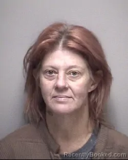 Mugshot of VERONICA LEIGH HUBENAK