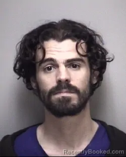 Mugshot of PARIS LEE DENNIS VANDER