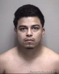 Mugshot of GUADALUPE &nbsp; BENAVIDES