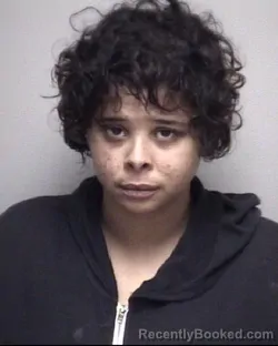 Mugshot of DANIELLE CHRISTINE STALLER