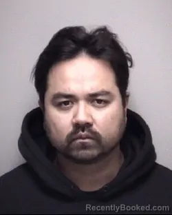 Mugshot of JAMES THEODORE ANDERSON