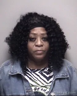 Mugshot of RHONDA KAY HIBBITT