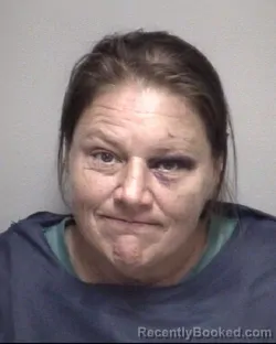 Mugshot of NICOLE DAWN CROW