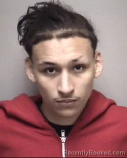 Mugshot of SEAN LEE ROBLES