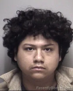 Mugshot of JORGE &nbsp; FLORES