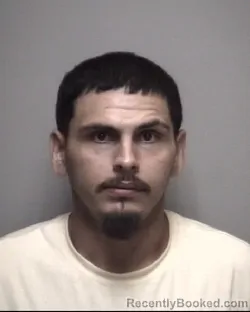 Mugshot of ROBERT RAY CARANGUI