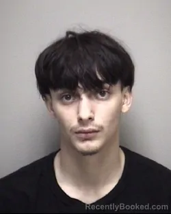 Mugshot of GIOVANNI &nbsp; FLORAVIT