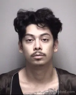Mugshot of PEDRO . AGUIRRE