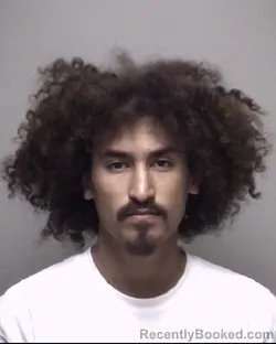 Mugshot of NATHANIEL BRYAN WOODS SMITH