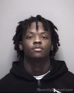 Mugshot of CHRISTIAN JOSIAH NELSON