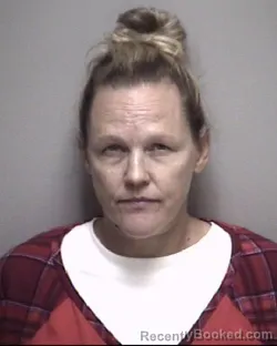 Mugshot of LISA KAY ERWIN
