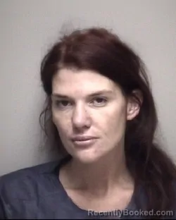 Mugshot of JORDAN LEE DANNA