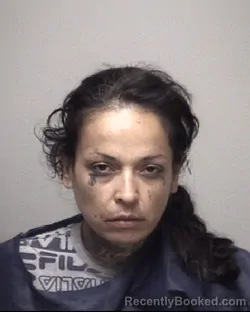 Mugshot of THERESA MARIE SAUCEDA