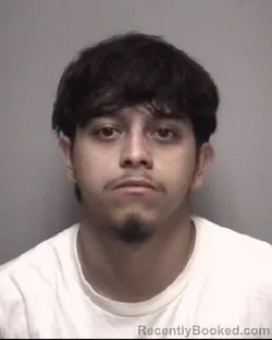 Mugshot of JULIAN ALEXIS AYALA