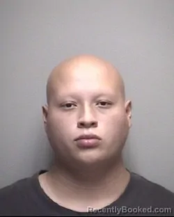 Mugshot of JONATHAN ALBERTO SALMERON