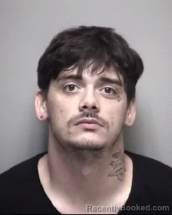 Mugshot of AUSTIN ANDREW WELLS