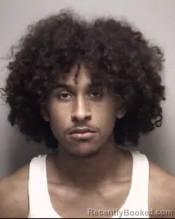 Mugshot of SEAN CHRISTOPHER REVIS