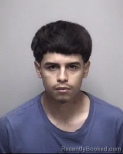 Mugshot of BRYAN ISAI DIAZ