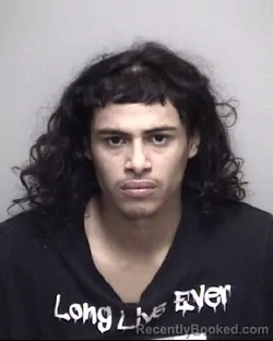 Mugshot of DENILSON SAIR SORTO