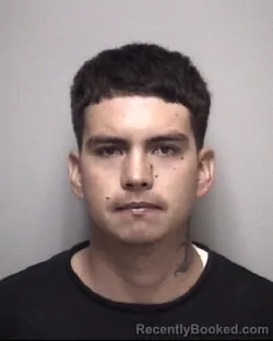 Mugshot of DANIEL . DURAN