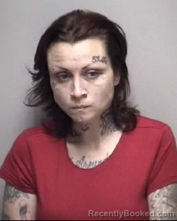 Mugshot of STORMY ELYSE FEE