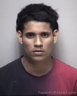 Mugshot of MEDARDO JAVIER GUZMAN DUBON