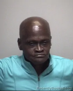 Mugshot of THERESA RENEE JONES