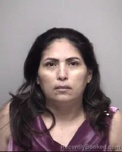 Mugshot of ELSY NOHEMY VASQUEZ FERMAN