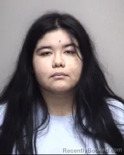 Mugshot of ANELDA LIZZETH REYES