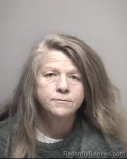 Mugshot of KAREN LEE DAVID