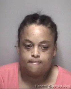 Mugshot of JAMIE LEONA WILLIAMS