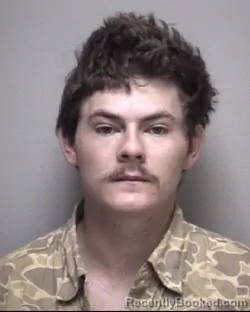 Mugshot of MASON RAY DESPAIN