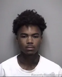 Mugshot of COY JAMAL HOLT