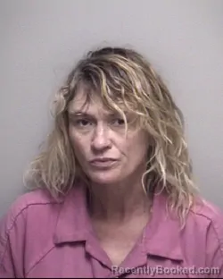 Mugshot of JESSICA RAE WILLIAMS