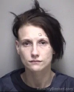 Mugshot of SHARON ELIZABETH PATTERSON