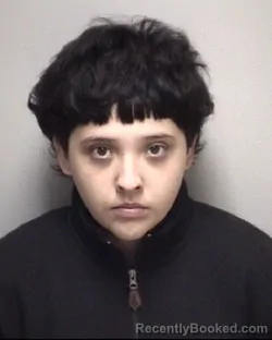 Mugshot of JADA JADE OCHOA