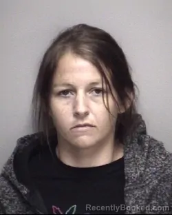 Mugshot of HEATHER LYNN MEDLOCK