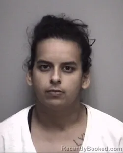 Mugshot of KARINA . DELAROSA PENA