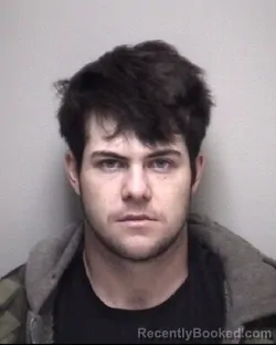 Mugshot of XANDER RYAN LEE