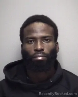 Mugshot of ELAMEEN OLAWALE EKISOLA SALAU