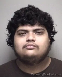 Mugshot of MOISES MALDONADO VELEZ