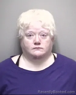 Mugshot of KIMBERLY ERIN WILSON
