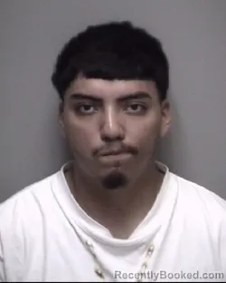 Mugshot of ELIHERE AMANALLELY ROJAS