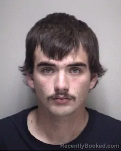 Mugshot of TRISTIAN LAYNE COLLIER