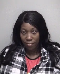 Mugshot of ASHLEY ANN LYNCH