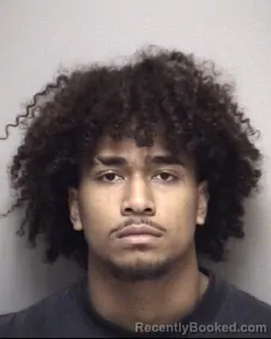 Mugshot of DAVID FELIX TUWAI CHONG booked in Galveston County, Texas on March 20, 2026