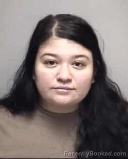Mugshot of CYNTHIA JASMINE DELGADILLO booked in Galveston County, Texas on April 16, 2026