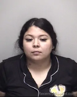 Mugshot of MELANIE &nbsp; LARA RAMIREZ booked in Galveston County, Texas on April 16, 2026