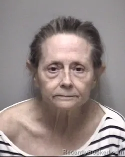 Mugshot of VICKI LEE VAUGHN booked in Galveston County, Texas on April 24, 2026